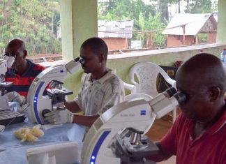 Improving tests for tropical worm diseases aim of $2.95 million grant