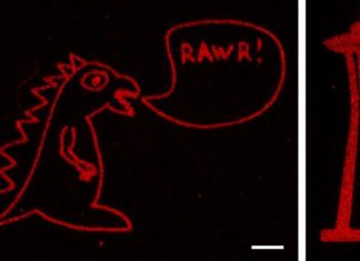 Lasers & molecular tethers create perfectly patterned platforms for tissue engineering