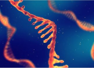 Moderna to develop three new mRNA-based vaccines against HIV, influenza, and the Nipah virus