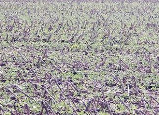No-till practices in vulnerable areas significantly reduce soil erosion