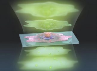 See live cells with 7 times greater sensitivity using new microscopy technique