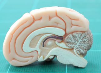 Bad experience with food could impact future eating habits