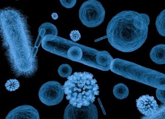 CoCID project aims to develop soft X-ray microscope for visualizing cellular origin of diseases