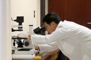 Graft-Versus-Host Disease Potentially Lessened by a Single Strain of Bacteria