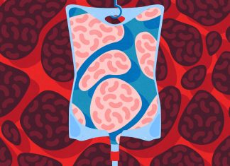 Here’s how biotechnology is offering new hope for personalized cancer treatments – Genetic Literacy Project