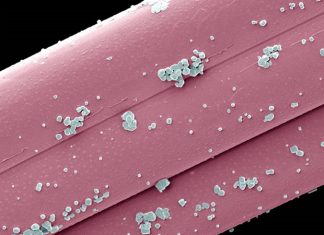 New gold-nanoparticle probes for target identification of bioactive small molecules