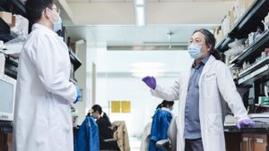New Link between Lymphoma Growth and Blood-Brain Barrier Discovered