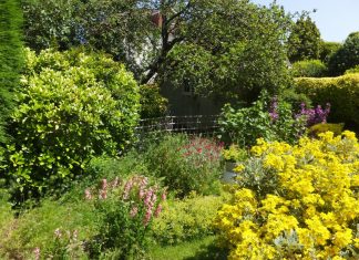 Pioneering research reveals gardens are secret powerhouse for pollinators