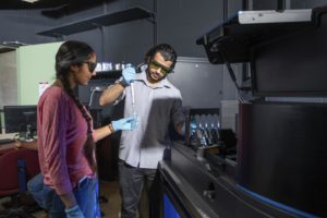 Rules Deciphered for Reorganizing Rooms Without Walls within Cells
