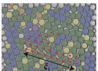 Shuffling bubbles reveal how liquid foams evolve