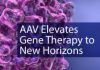 AAV Elevates Gene Therapy to New Horizons
