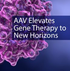 AAV Elevates Gene Therapy to New Horizons