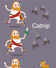 Catnip’s Effectiveness as a Natural Mosquito Repellent Linked to Irritant Receptor Activation