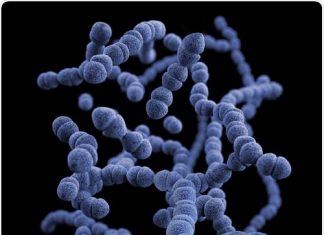 Highly sensitive DNA nanosensor can accurately detect lethal superbugs