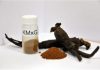 Microwave Processing Isolates Red Ginseng Compounds That Suppress Lung Cancer Metastasis