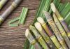 Sugarcane Biotechnology: Enhancing Crop Productivity, Key Challenges and much more – Krishi Jagran