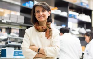 Experimental Drug Boosts Brain Cell Cleaning to Reverse Alzheimer’s Disease Symptoms in Mice