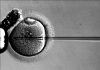 Experts to discuss advanced cancer cell and gene therapies at Summit 2021