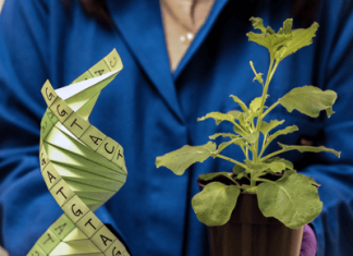 ‘For the benefit of all’: Why governments should play a ‘critical role’ in funding biotechnology research – Genetic Literacy Project