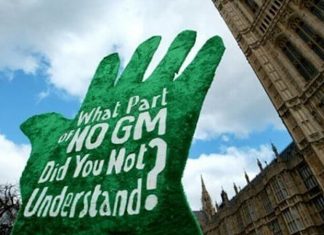 Opposition to crop biotechnology fuels ‘global trade concerns,’ Congressional Research Service finds – Genetic Literacy Project