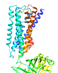 Psychedelic-Like Drug Lacking Hallucinogenic Side Effects Identified with New Sensor