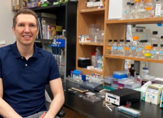 Scientists Create Living Machines That Move, Heal, Remember and Work in Groups