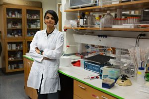 SNP-Chip: CRISPR-Based Transistor Detects Single Point Mutations