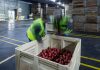 Strella Biotechnology Is Using Biosensors to Combat Food Waste – Philadelphia magazine