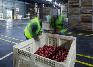 Strella Biotechnology Is Using Biosensors to Combat Food Waste – Philadelphia magazine