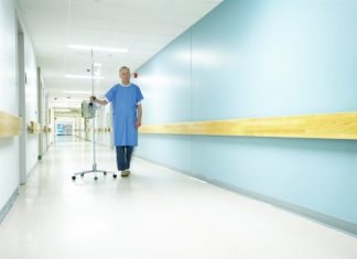 Study could lead to new ways of targeting harmful bacteria