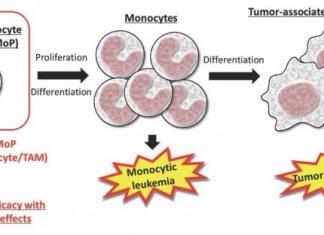 Unique ADC Strategy Targets Leukemia