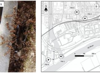 eDNA analysis could contribute towards more effective pest control