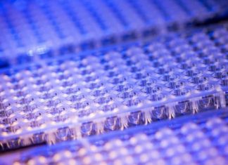 Harnessing next generation sequencing to detect SARS-CoV-2