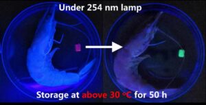 How Fresh is Your Fish? A Chameleon Skin-Inspired Hydrogel Can Tell You