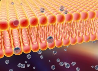 Nanoscope presents optical gene delivery, OCT-guided electrophysiology platforms at ARVO annual meeting