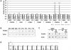 Oncotarget: Piperlongumine promotes death of retinoblastoma cancer cells