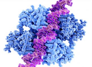 Researchers use genomic sequencing technique to detect presence of various microbes