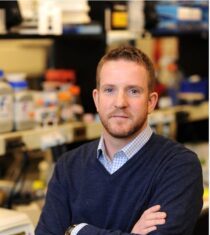 Sorely Needed Dengue Vaccine Gets a Boost from Immune Profiling