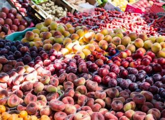 Uganda: Take Advantage of Biotechnology – AllAfrica – Top Africa News