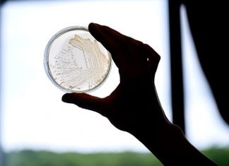 Biotechnology is future and Sophia wants to be part of it – Mirage News