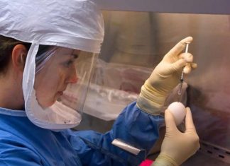 COVID-19 PCR tests can withstand freeze-drying process