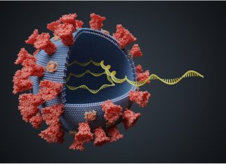 Delays and shortages hit SARS-CoV-2 genomic surveillance program