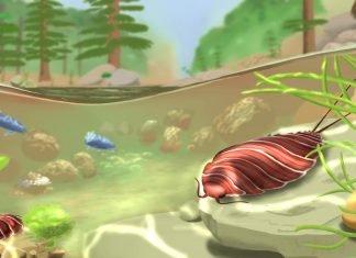 Fossil research shows woodlice cousins roamed Ireland 360 million years ago