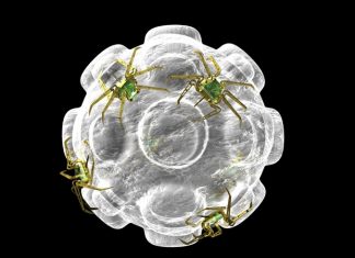 New book reveals promising nanomaterials for therapeutic drug delivery