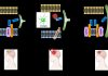 Novel interactions between proteins that help in recovering from brain injury