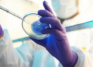 Some 800 knowledge-based firms active in biotechnology – Tehran Times