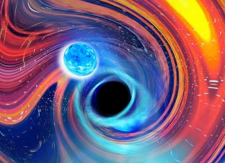 The final dance of mixed neutron star-black hole pairs
