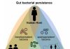 The Microbiome’s Evolution is Shaped by Dispersal Strategies