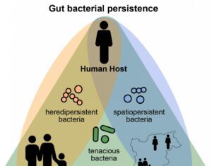 The Microbiome’s Evolution is Shaped by Dispersal Strategies