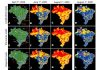 The paths through which COVID-19 spread across Brazil